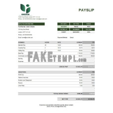 green industry fake earning statement Excel and PDF template