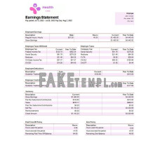 health services company fake pay stub Word and PDF templates