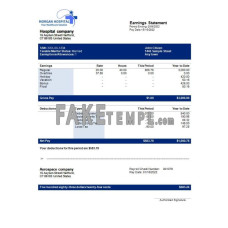 hospital company fake earning statement Word and PDF template