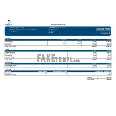 industrial robot company fake payslip Word and PDF template