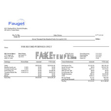 information corporation editable fake payroll Word and PDF template