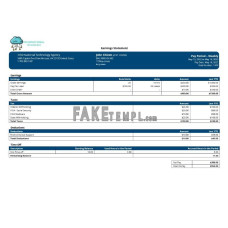 information technology company fake paystub Word and PDF templates