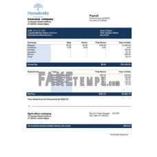 insurance company fake earning statement Word and PDF template