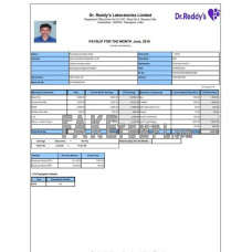 laboratory fake payslip Word and PDF template