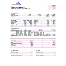 leisure company fake payroll Word and PDF template