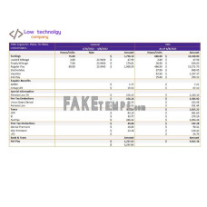 low technology company fake paystub Word and PDF template