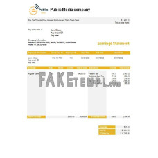 public media company fake earning statement Word and PDF template