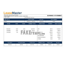 Real estate, rental and leasing company fake payslip Word and PDF template