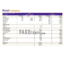 Retail company fake earning statement Word and PDF template