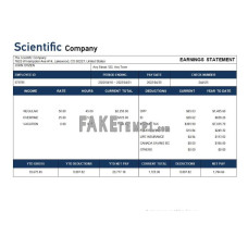 Scientific company fake payroll statement Word and PDF template