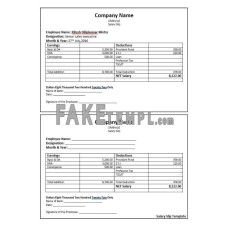 Senior sales fake executive salary slip Word and PDF template