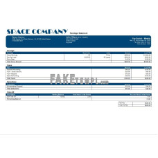 Space company editable fake payslip Word and PDF template