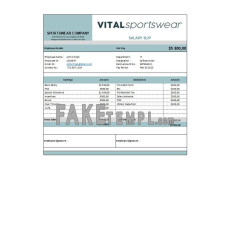 Sportswear company fake earning statement Excel and PDF template