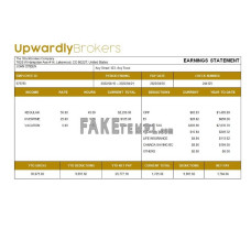 Stockbrokers company fake payslip Word and PDF template