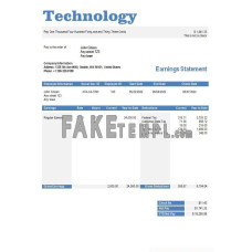 Technology company fake paystub Word and PDF template