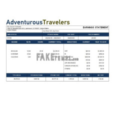 Tourism company fake pay stub Word and PDF template