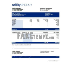 utility company fake payslip Word and PDF template