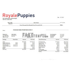 Veterinary medicine company fake earning statement Word and PDF template