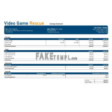 Video game company fake paystub Word and PDF template