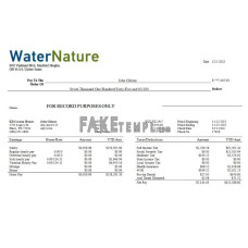 Water company editable fake earning statement Word and PDF template