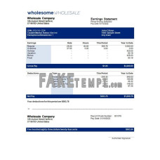 wholesale company fake payroll Word and PDF template