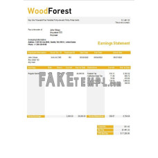 wood corporation fake payslip Word and PDF template