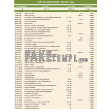 real 30 random fake bank statement Excel and PDF template