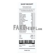 SHOP  fake payment check photoshop template PSD, version 2